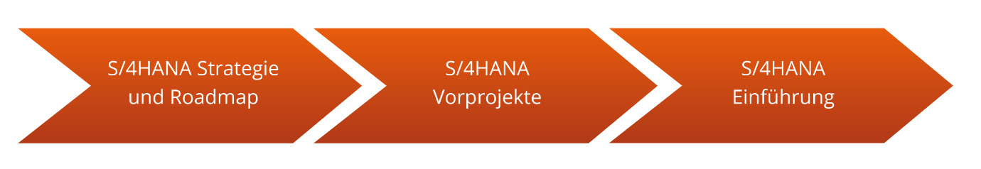 S/4HANA im Krankenhaus: Von der Roadmap über Vorprojekte zur Einführung
